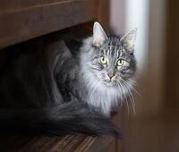 虹旋：道闸系统可以用在哪些地方？有什么优势