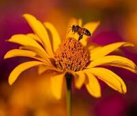 大家离职，都说过什么离职原因？