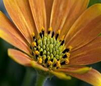 请问我什么时候会暴富