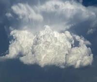 民穿今：她在21世纪混的风生水起(姜笙秦野)最新章节列表_小说最新章节民穿今：她在21世纪混的风生水起(姜笙秦野)