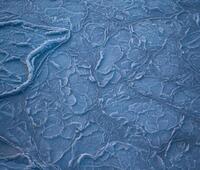 小四的内饰升级大不大？