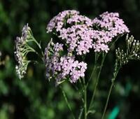 免费热门小说民穿今：她在21世纪混的风生水起(姜笙秦野)_民穿今：她在21世纪混的风生水起姜笙秦野在线阅读免费小说